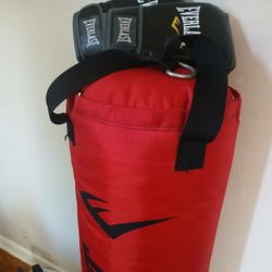 EverLast Punching Bag
