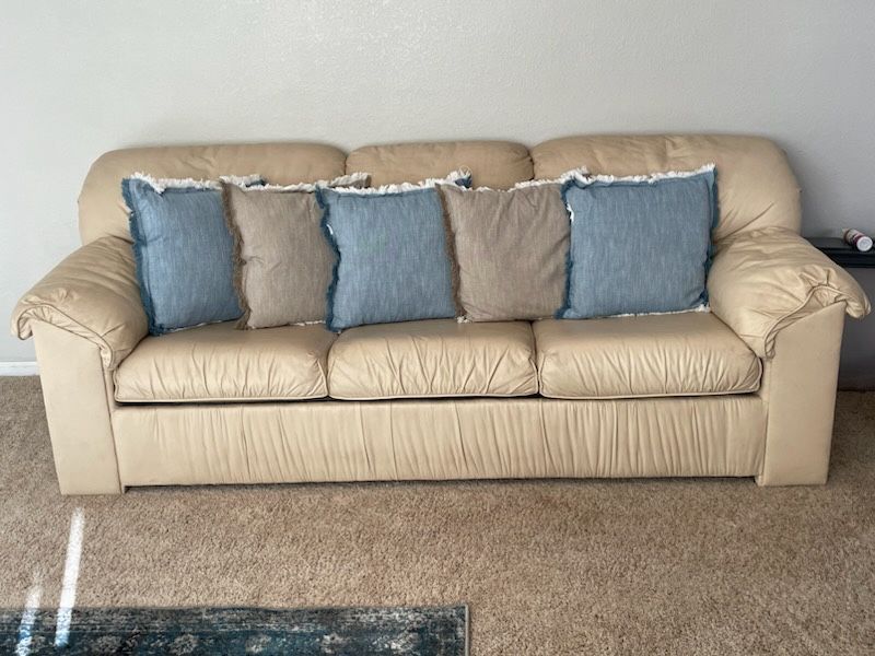 Faux Leather Couches