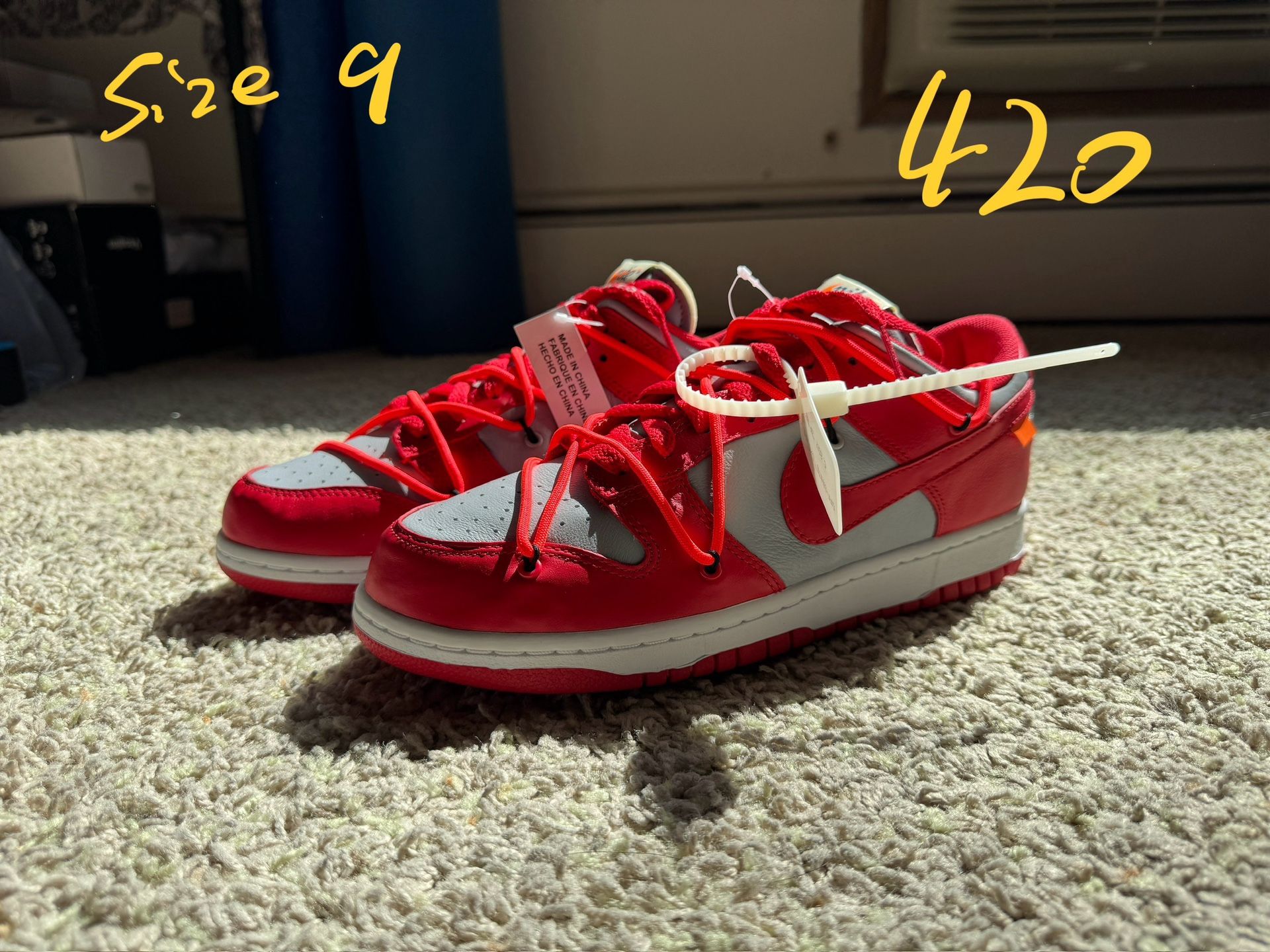 Brand new off white nike dunk shoes