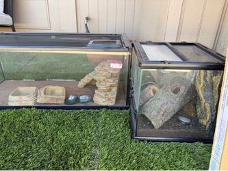 Terrarium