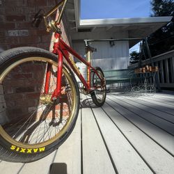 Bmx 24in  THRONE  $800