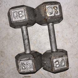 Weighted Dumbbells