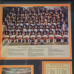 Bears Memorabilia
