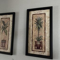Framed Pictures