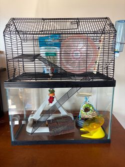 Small Animal Habitat with Accessories