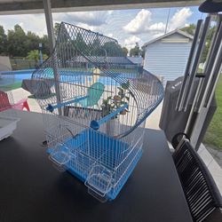 cages for canaries