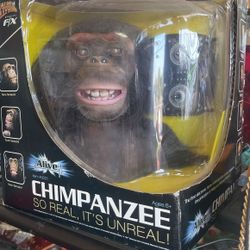Chimpanzz Alive