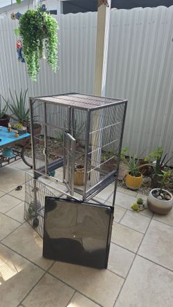 BIRD CAGE.......JAULA PARA PAJAROS