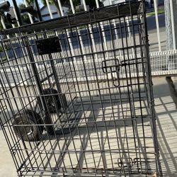 Cage/Jaula