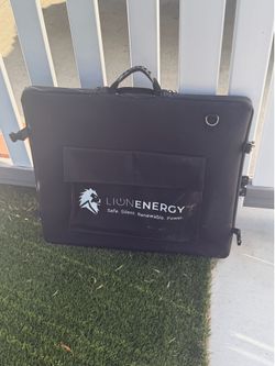 Lion Energy Solar Panels