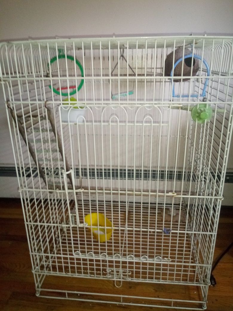 Big bird cage