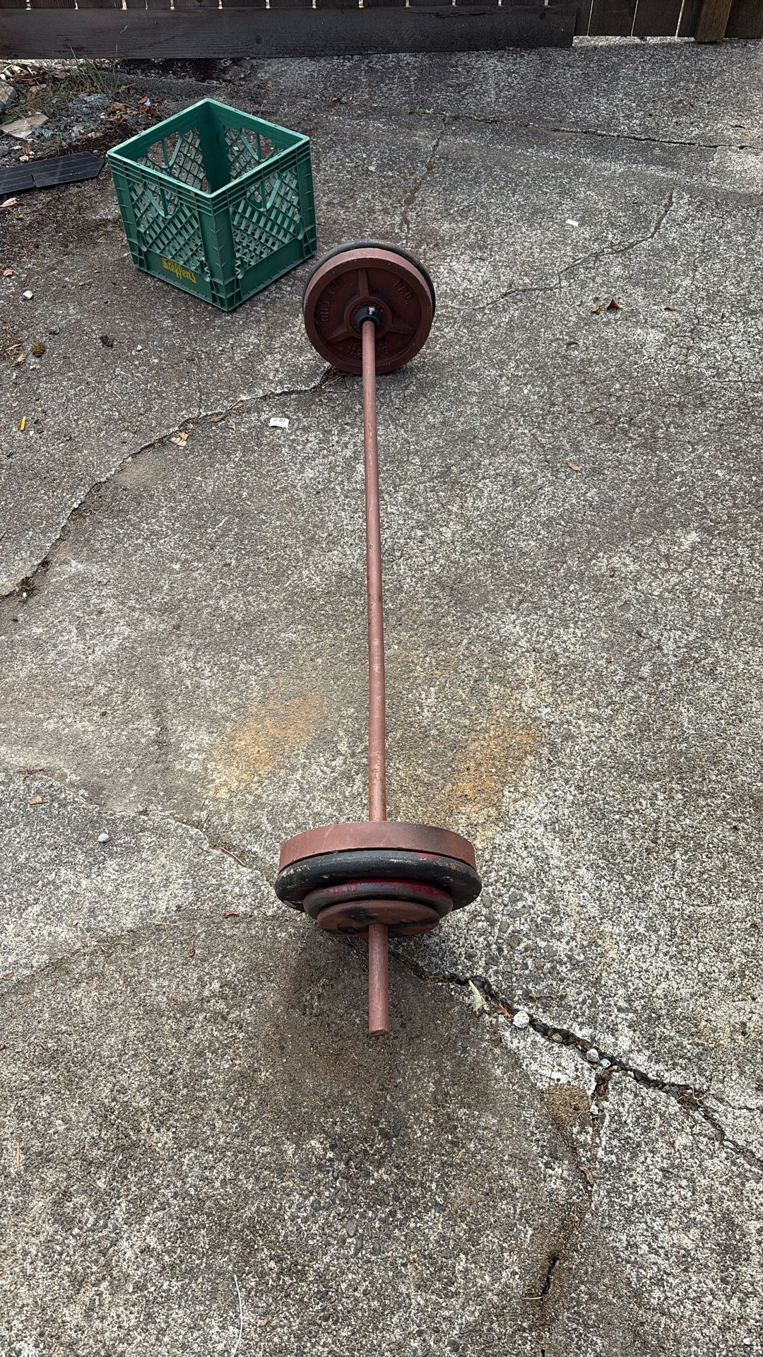 Standard Weight Bar And Weights