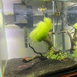Fish tank 14 Gallon 