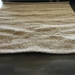 Indoor area rug