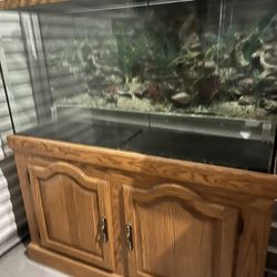 Aquarium 80 gallon
