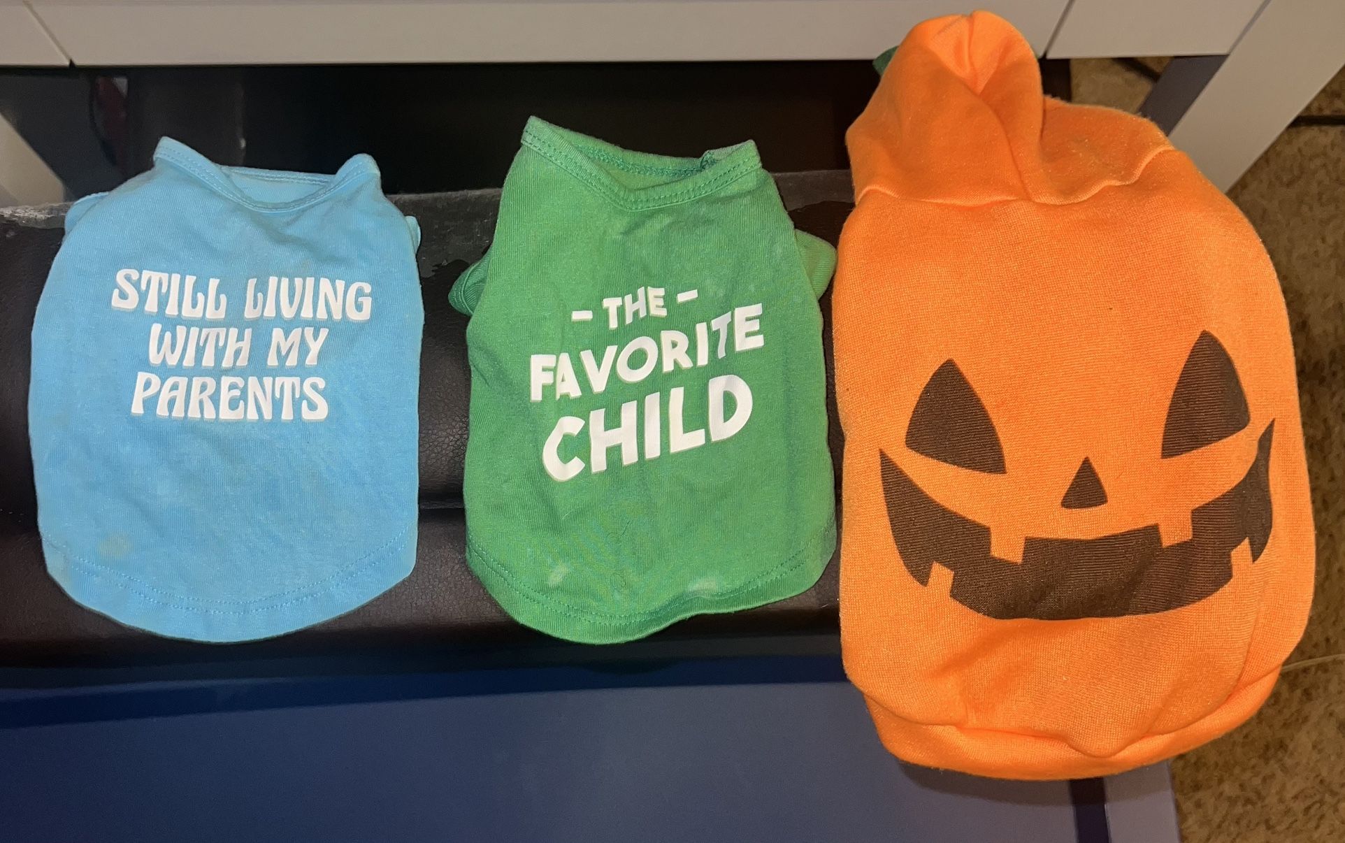 Xs Doggy clothes