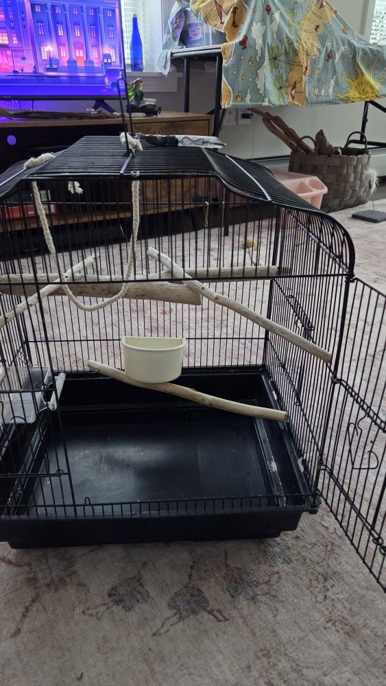 Bird Cage