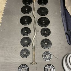 Weight Plates. / Curl Bar.           85 Dollars 