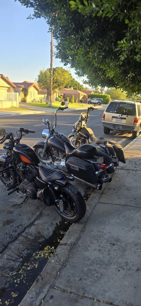 2011 Harley Davidson XL1200X Forty Eight