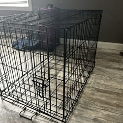 Dog Kennel 