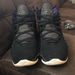 Lebron 17s