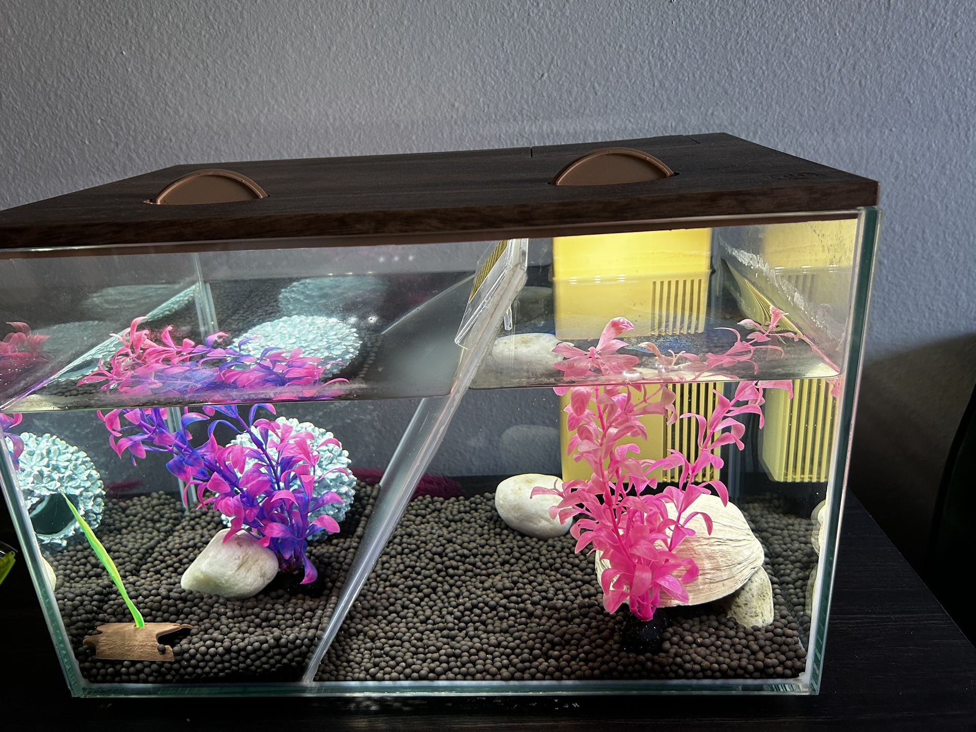 Fish Tank With Filter