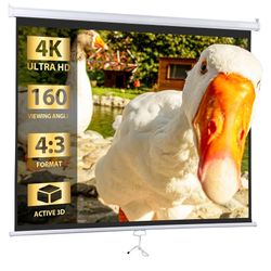 72 in. Pull Down Projector Screen