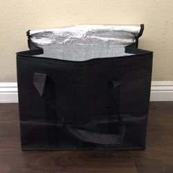 insulated food storage & delivery bag | large