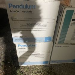 Pendulum and more 