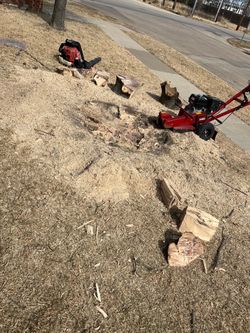 Removal fence