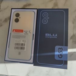 Cell Phone Government Phones Upgraded 