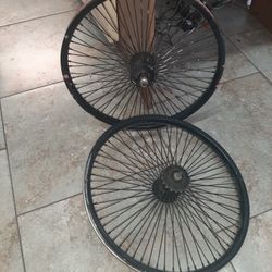 Rins 20s