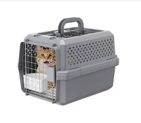Gray Hard-Shell Pet Travel Carrier