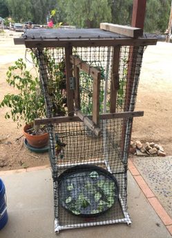 Homemade outdoor cage