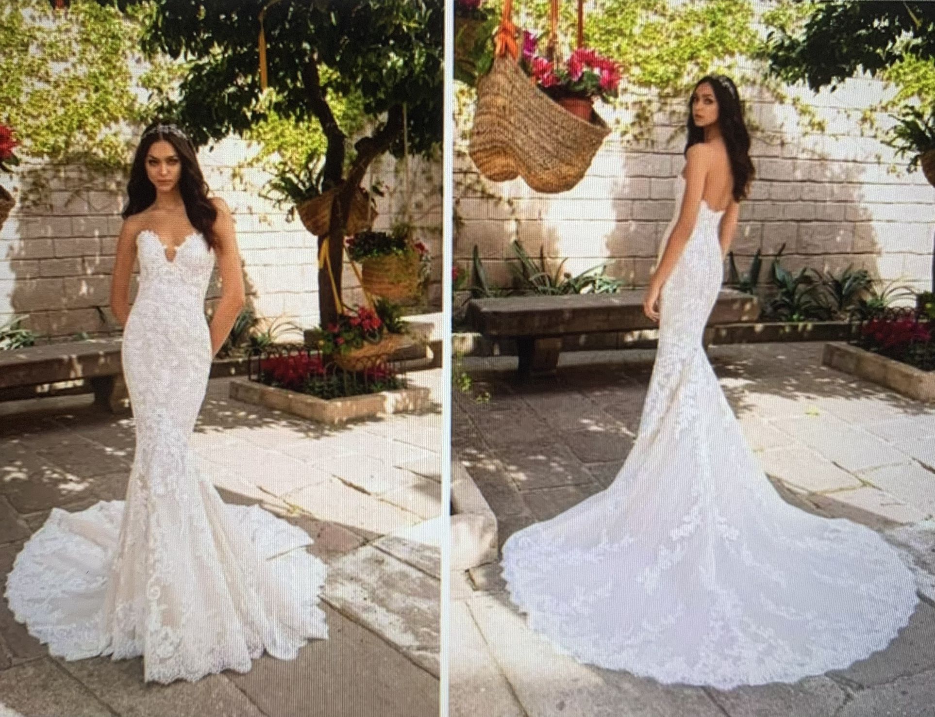 Brand New Wedding Dress - Pronovias (Aegir) for Sale in Long