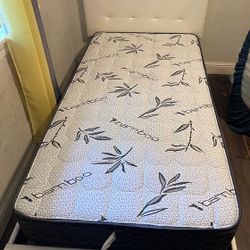 Twin Platform Bed With Orthopedic Supreme Mattress Included 