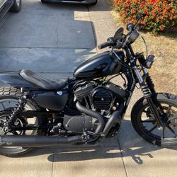2021 Harley Davidson Iron 1200 Sportster