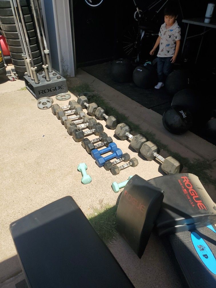 Gym Equipment SALE