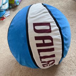 Yoga Ball and Protective Case