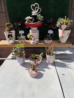 ❤️ Succulent Mothers Day Gift Ideas ( $5.00 to 15.00 ea. )