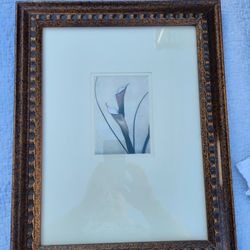 Monochrome artistic rendering of calla lilies.