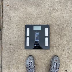 weight scale