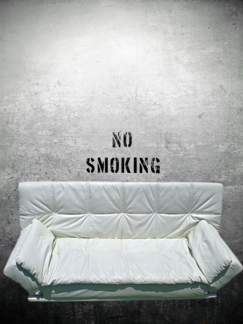 Sleeper Sofa