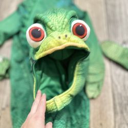 Disney -Small Pascal Costume