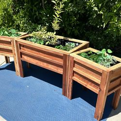 Redwood Planter Boxes 