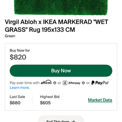 Off white wet grass rug