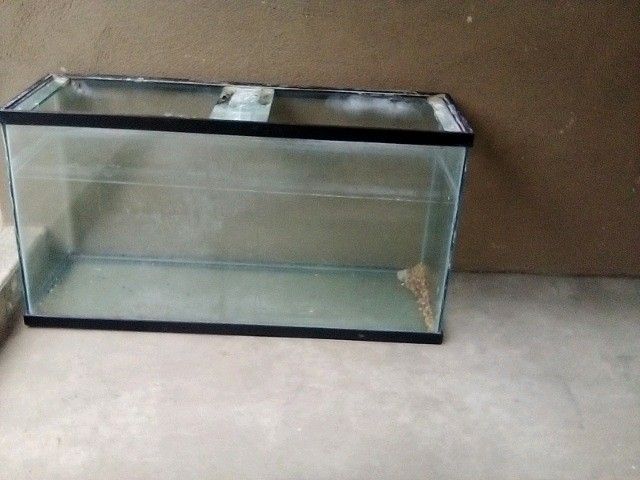 Large fish/ reptile tank