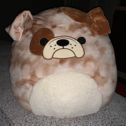 NEW Squishmallow Bronk The Bulldog Squishmallows 16” Dog NWT