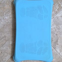 Wii Balance Board & Game