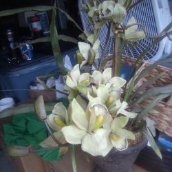 Flowers And Pot "Not Real"$9